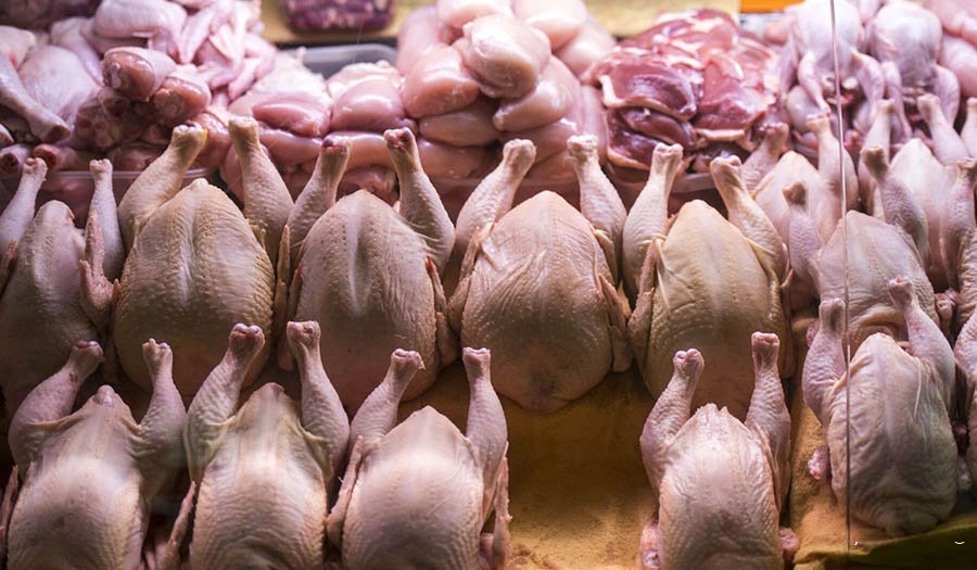 About 1,100 tons of chicken were exported from Iran to Iraq last year